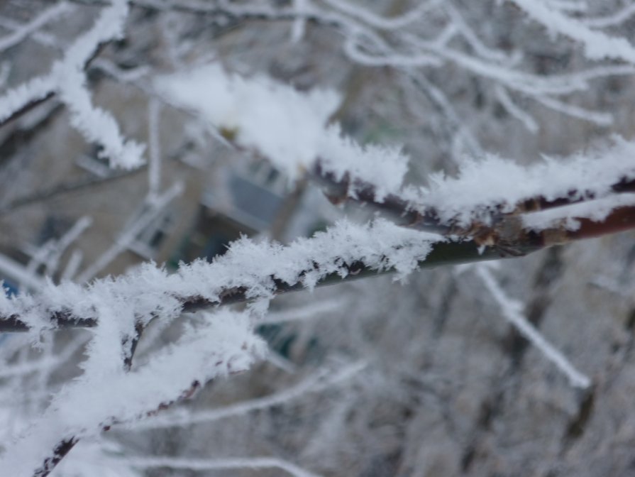 Мохнатый снег - Tatiana Rassvet