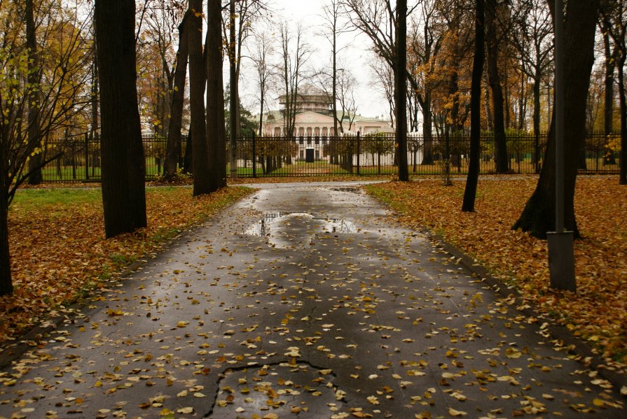 Осень в Останкино - Юрий Ковалев