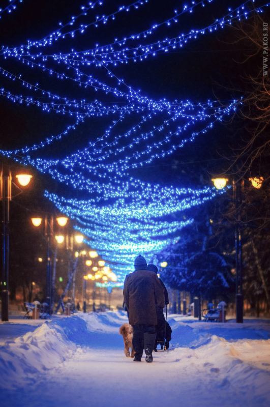 winter evening - Павел Косухин