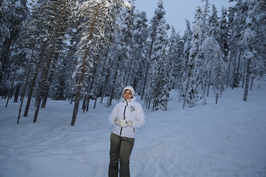 В снежном лесу - Евгений +