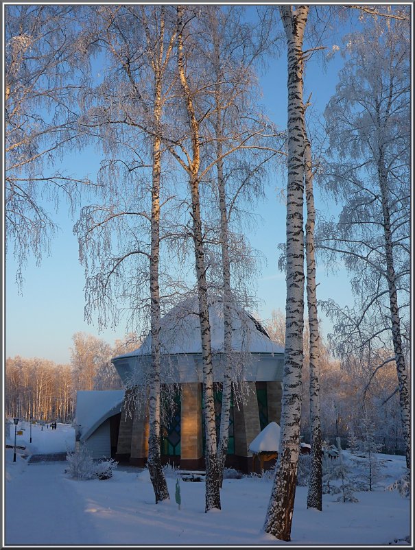 Зима, красота... - Ольга Гавриленко