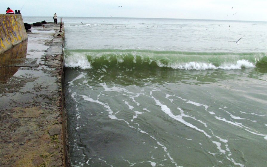 Январское море - AV Odessa