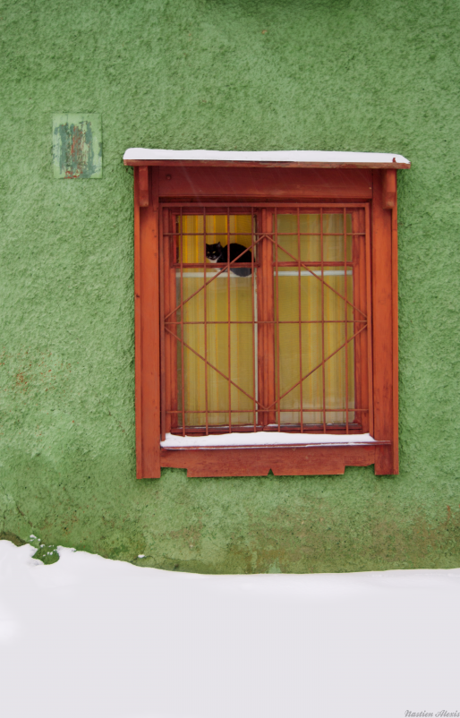 Black cat in the window - Алиса Лыжко