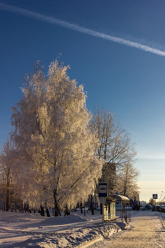 Десногорск осенью