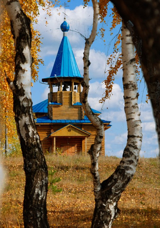 Церковь - Василий Данило