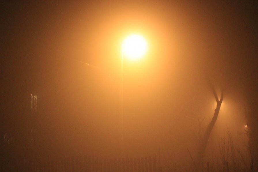 Ищем ёжика в тумане... - Анна Романова