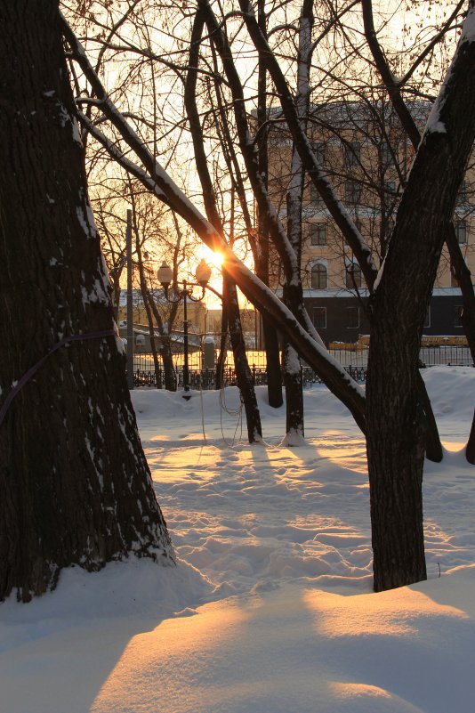 Москва - Варвара Андреева