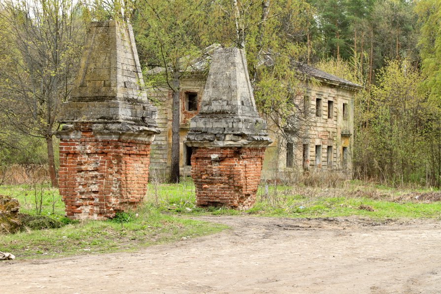 Усадьба Петровское (Княжищево). - Yuri Chudnovetz