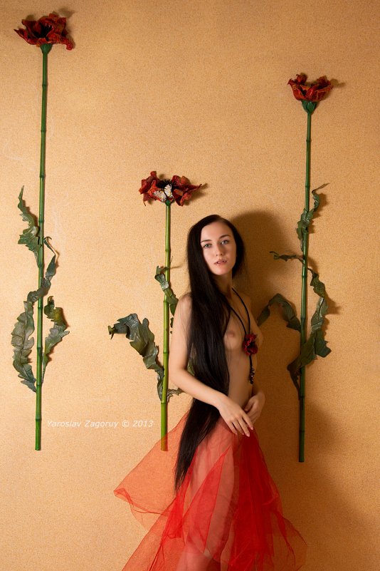 Poppy dreams - Anastasia Lipina