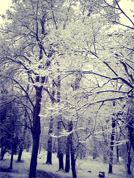 Зима - Настя Емельянцева