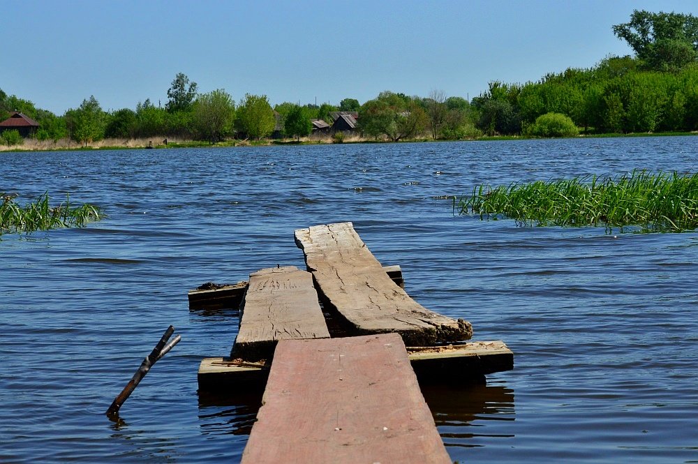 Вид - Сергей Жданов