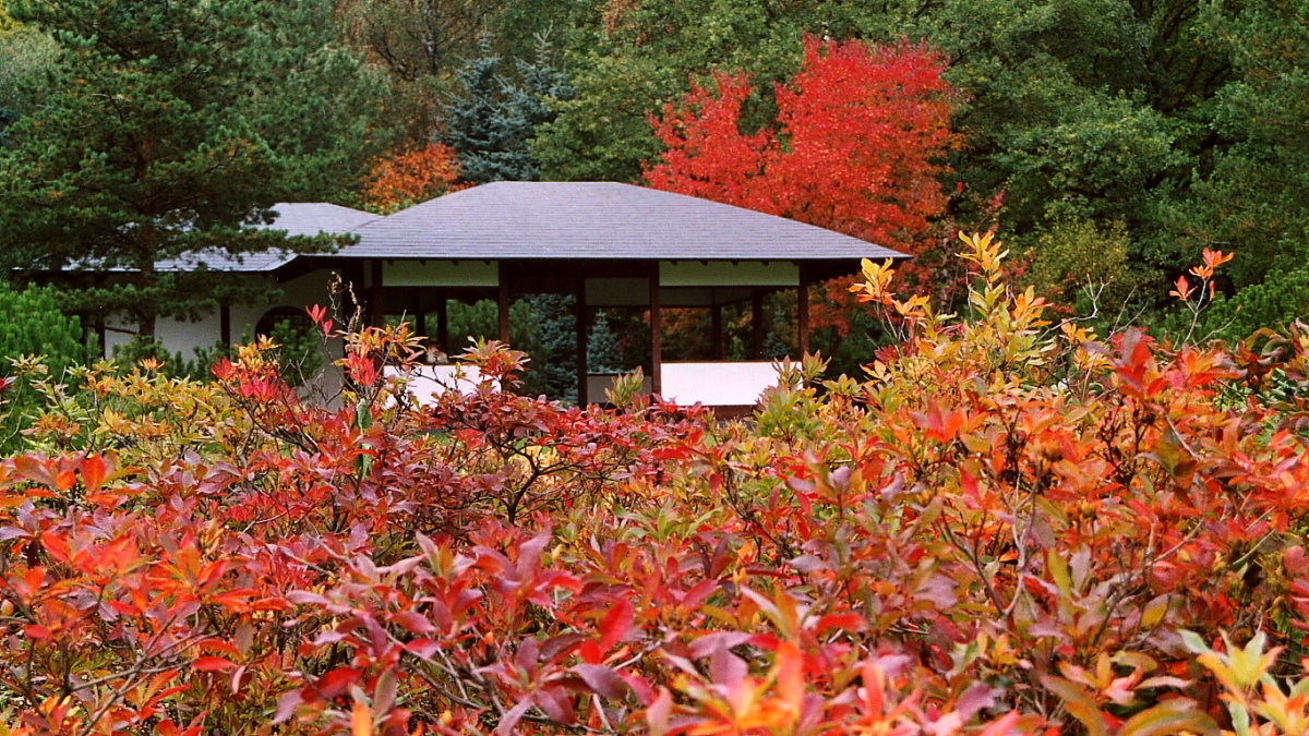 Осень в Японском садике. - Николай Кондаков