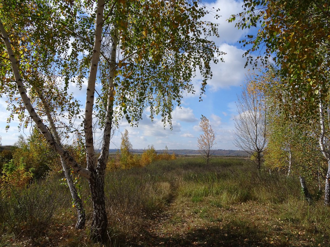 Осень, снова осень... - Ирина Голубева