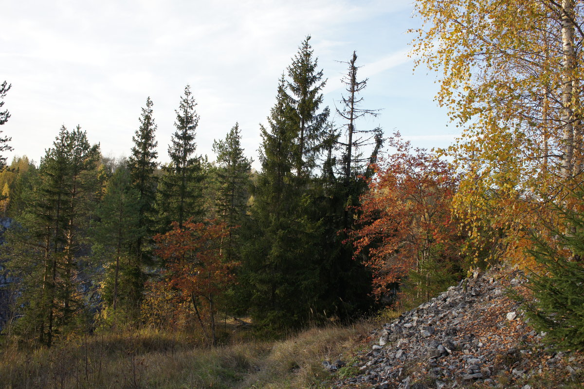 Осень в горном парке Рускеала - Елена Павлова (Смолова)