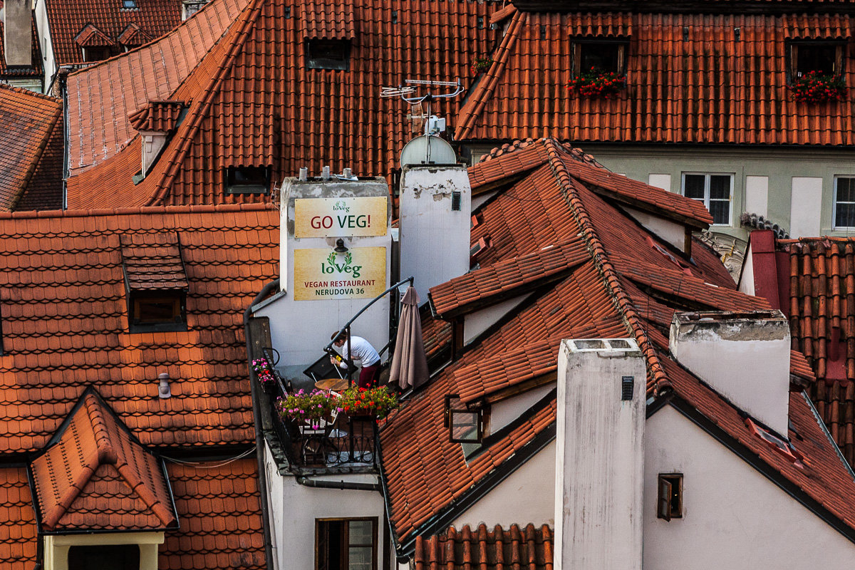 Веганский ресторан на крыше - Анатолий Мигов