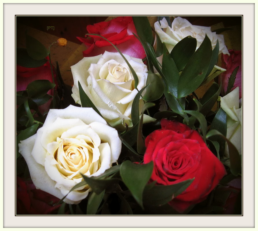 Розы в подарок - Валентина (Panitina) Фролова