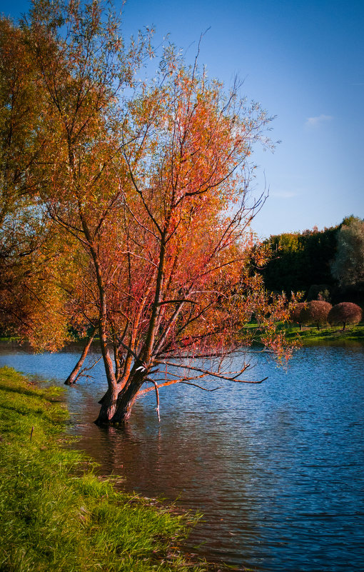 Der Herbst - Irene Freud