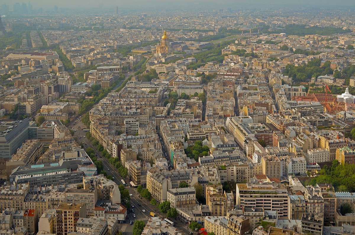 Париж с высоты птичьего полета - Лидия Цапко