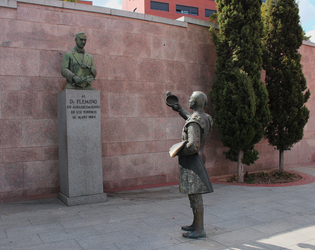 Памятник А.Флемингу. - Евгений 