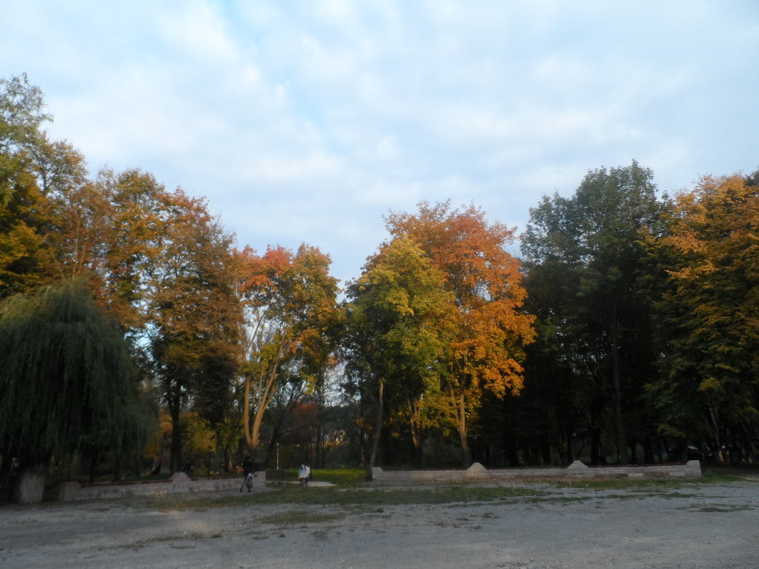 Осень - Любовь Шатура