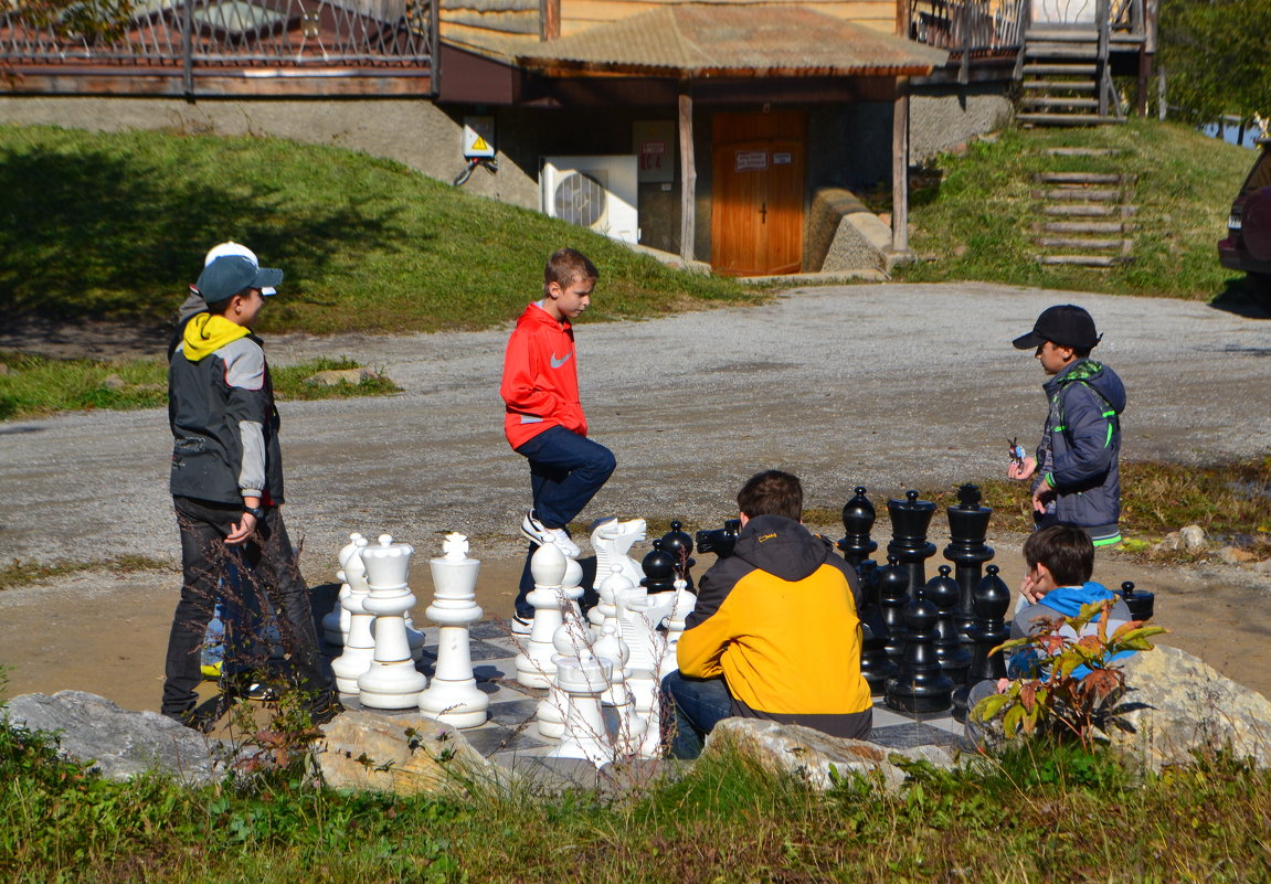 юные шахматисты - Lika Light