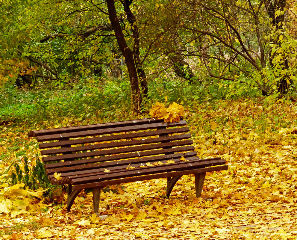 Осенью в парке - Александр Запылёнов