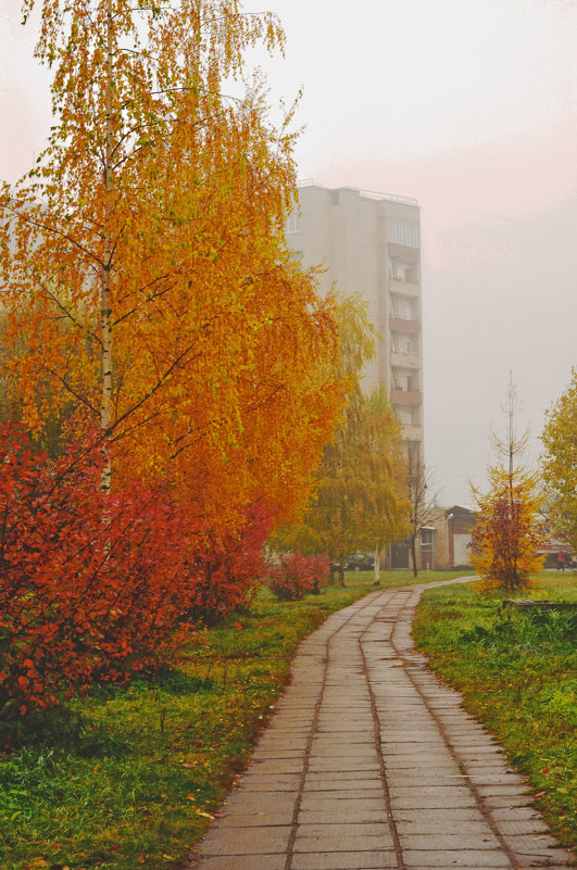 Осень в нашем городке - Анна Александрова