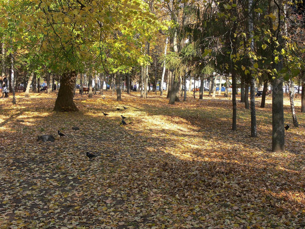 В городском парке - Татьяна Черняева