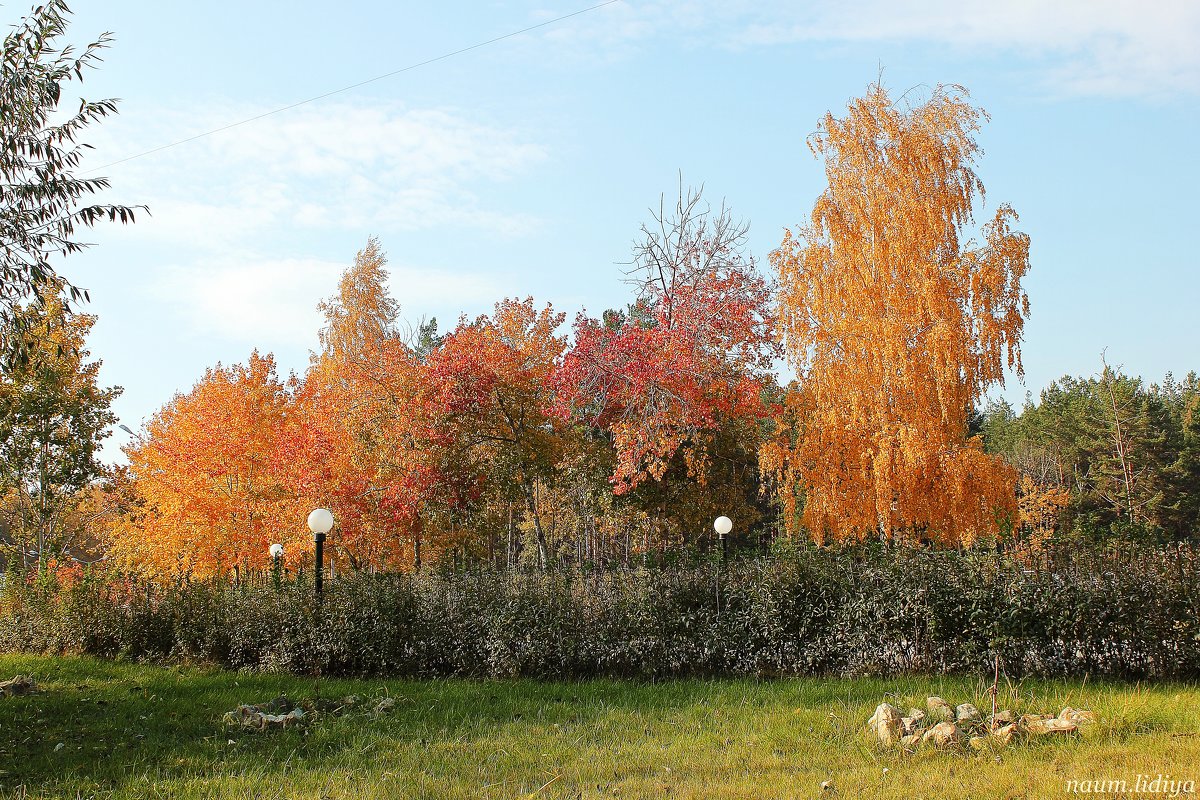 Разнообразие красок - Лидия (naum.lidiya)