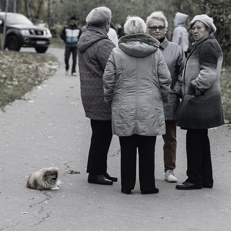 Вы говорите, я подожду... - Евгений Барзенков