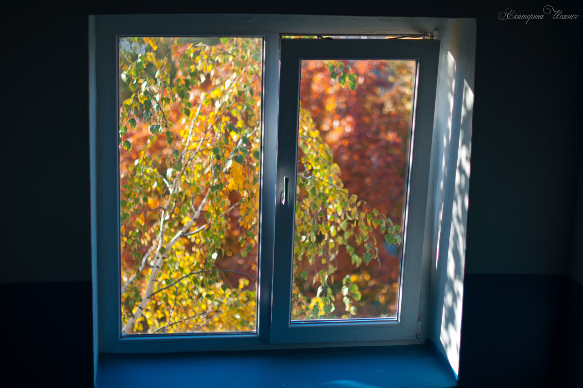 Осень за окном - Екатерина Исаенко
