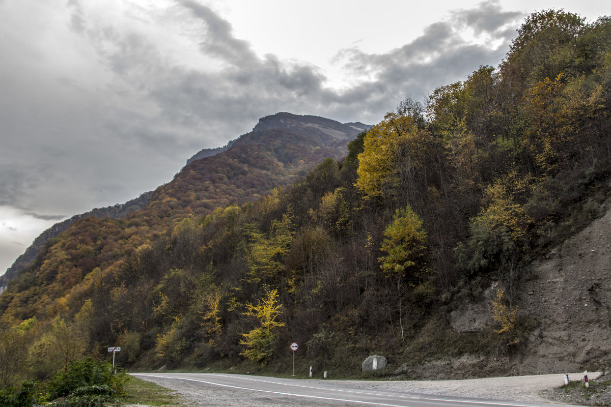 Осень - Avak. A