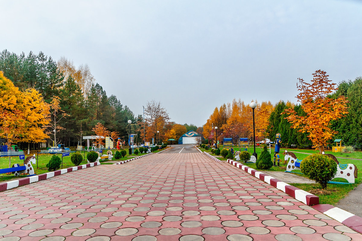 Золотая осень в лагере Дружба. Амбросовичи. 03. - Анатолий Клепешнёв