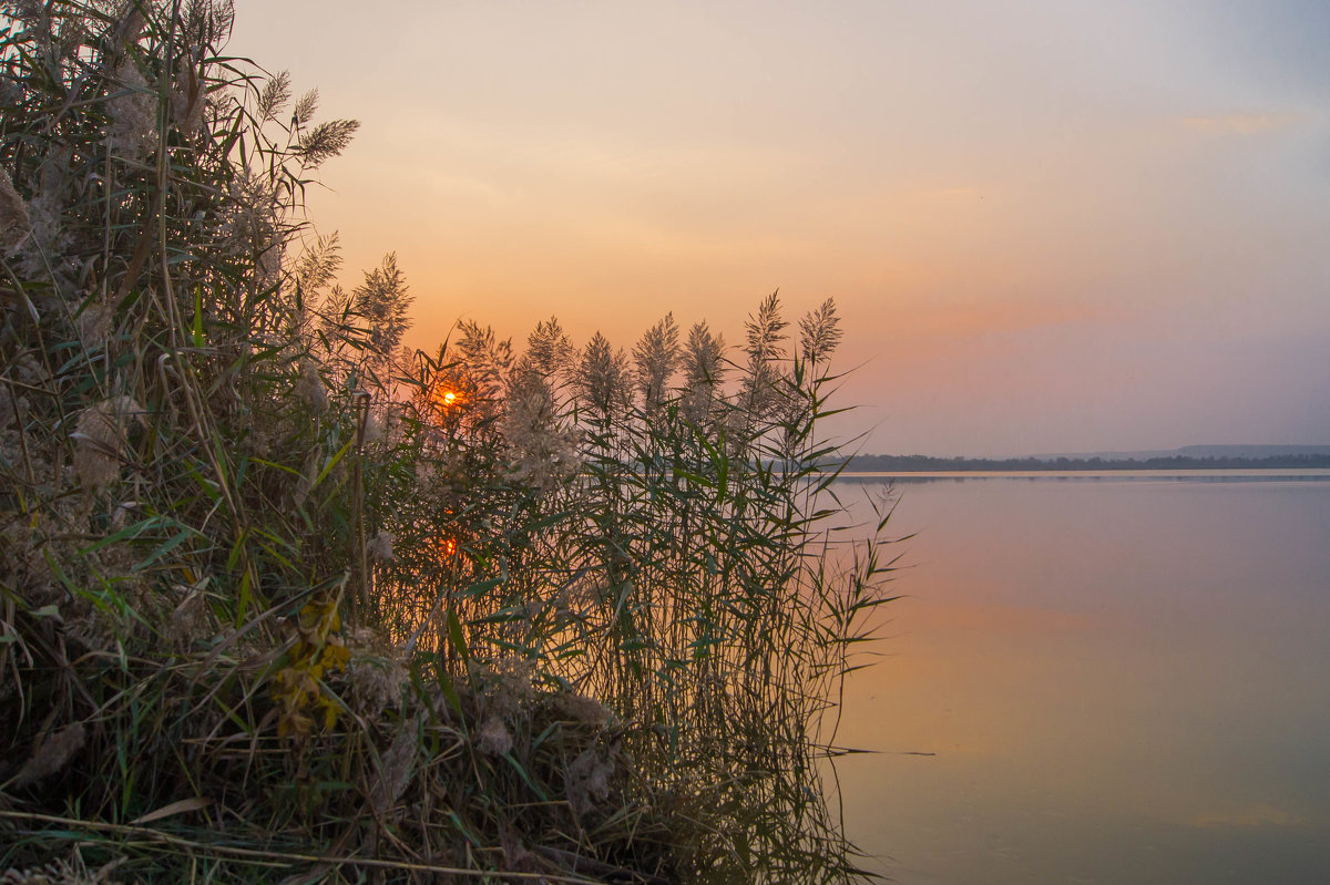 *** - Семён Кулаков