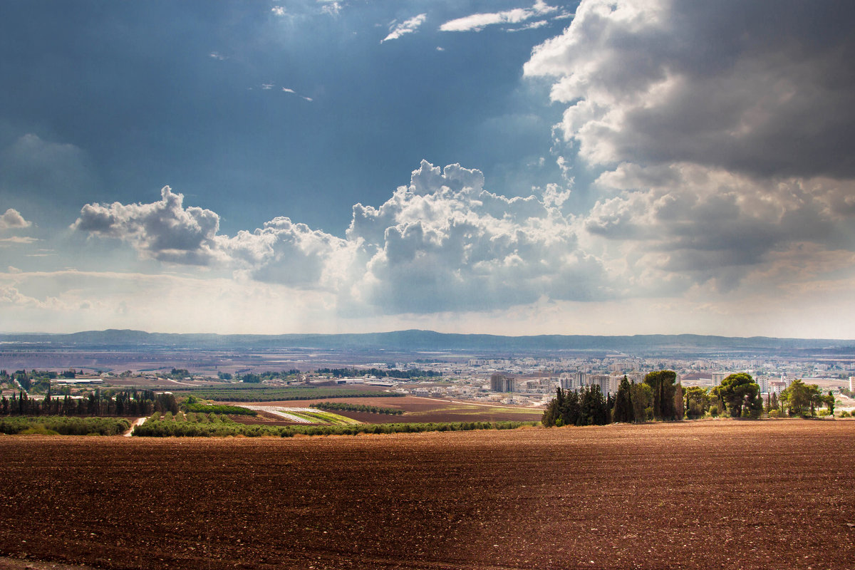 Взгляд на Израэльскую долину и Афулу - Леонид Лившиц