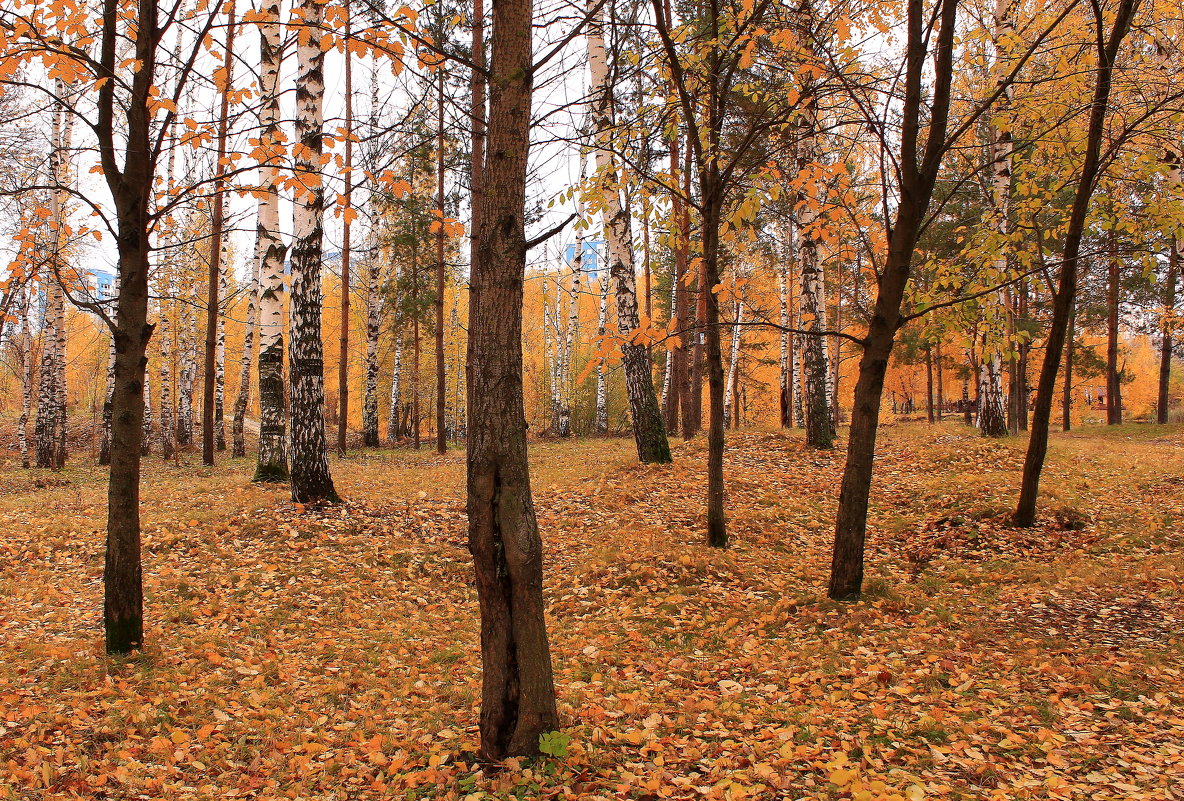 Воздух пахнет осенними листьями - Татьяна Ломтева