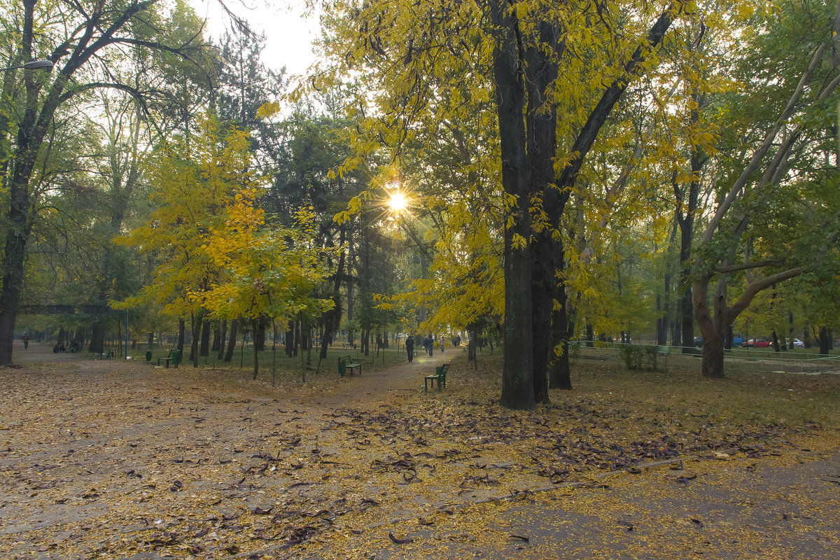 Осень - Андрей Бурлака