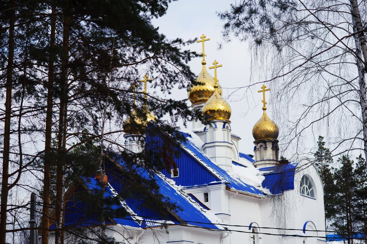 Среднеуральский монастырь - Дмитрий Часовитин