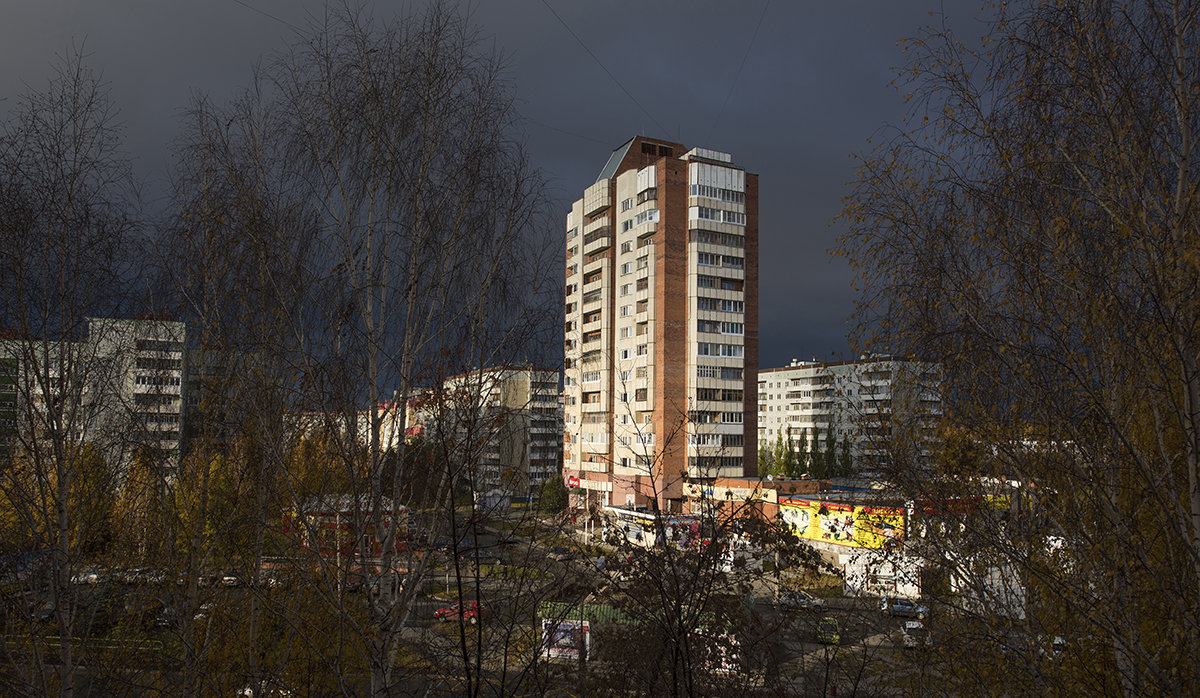 Осеннее утро - Владислав Сбитнев