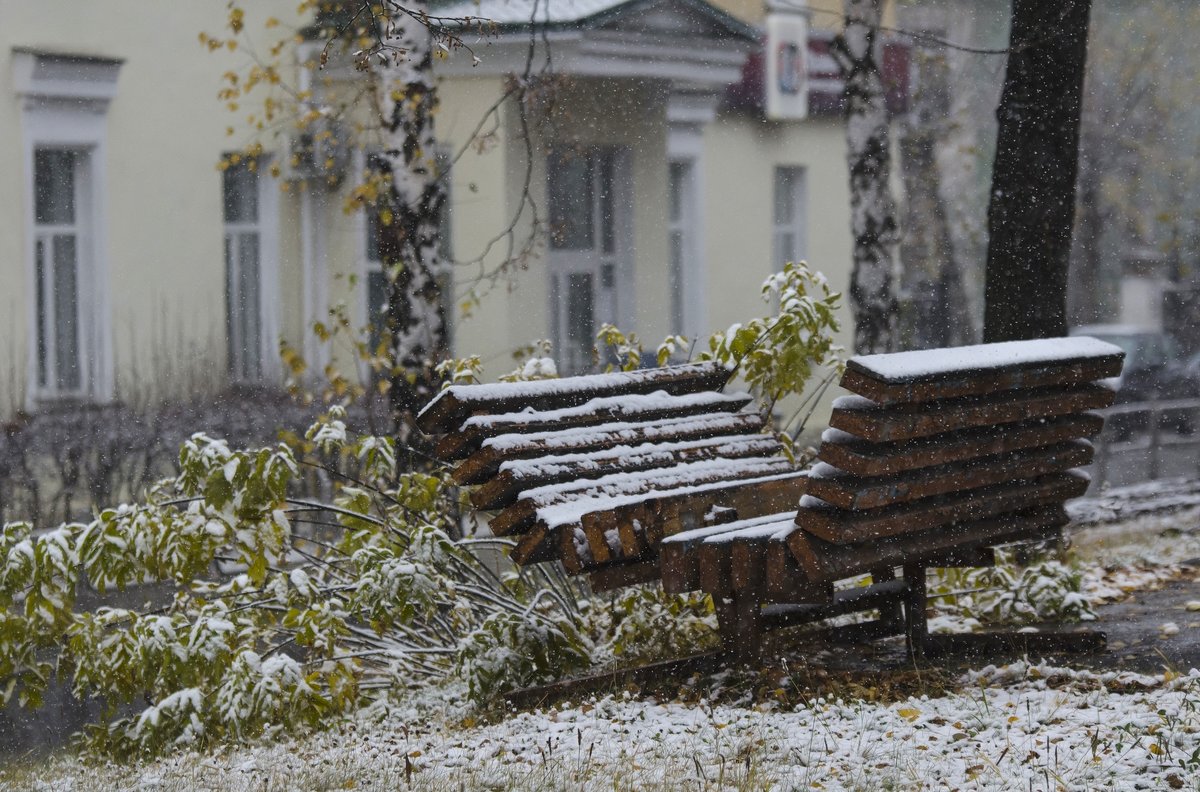 first snow - Dmitry Ozersky