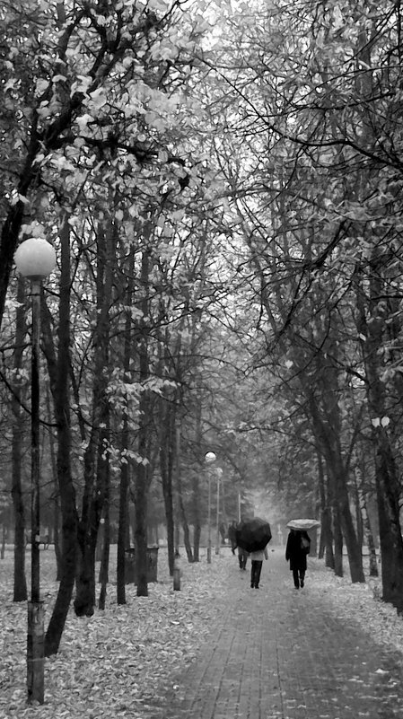 Дождь в парке... - Юлия Копыткина