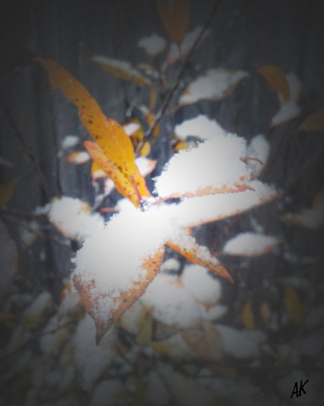 Осенний снегопад - Алсу Кидряева