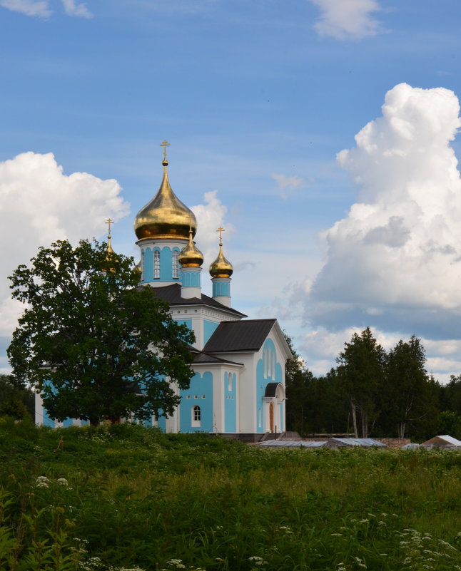 Благовещенский собор в Никандровой пустыни - Ирина Никифорова