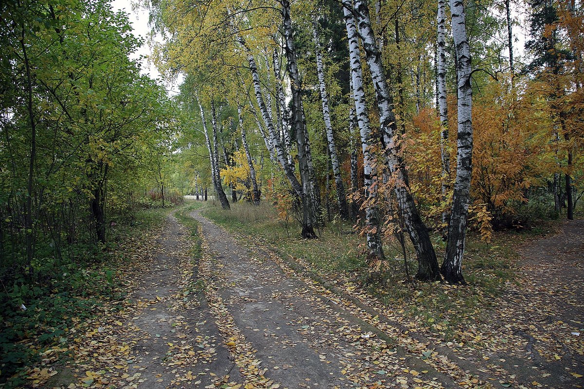 Осень в  Нахабино - Евгений Мергалиев