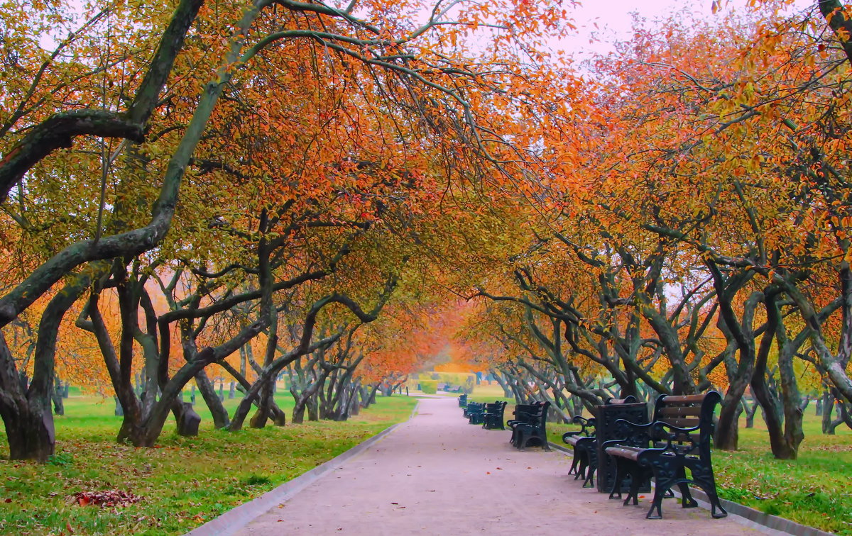 В осеннем парке. - Маргарита ( Марта ) Дрожжина