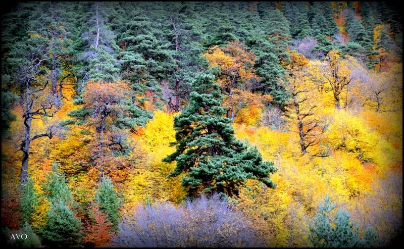 Осень - AVETIS GHAZANCHYAN