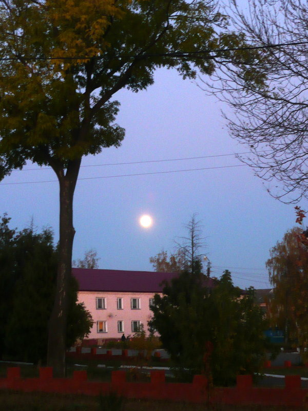 Луна над городом взошла опять... - Антонина Балабанова