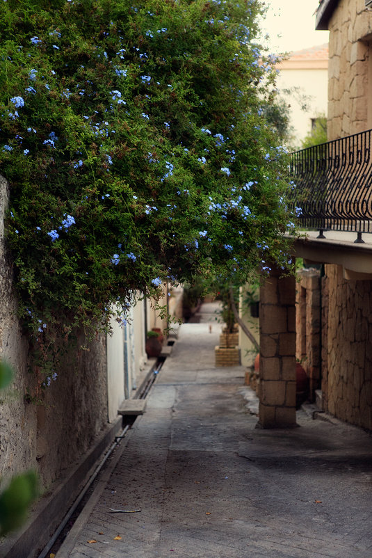 Улочки в  деревне Беллапаис, Северный Кипр - Anna Lipatova