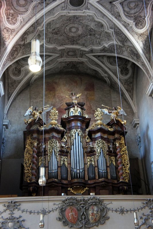 Церковь Нидермюнстеркирхе (Niedermünsterkirche), XII-XVII  веков - Елена Павлова (Смолова)