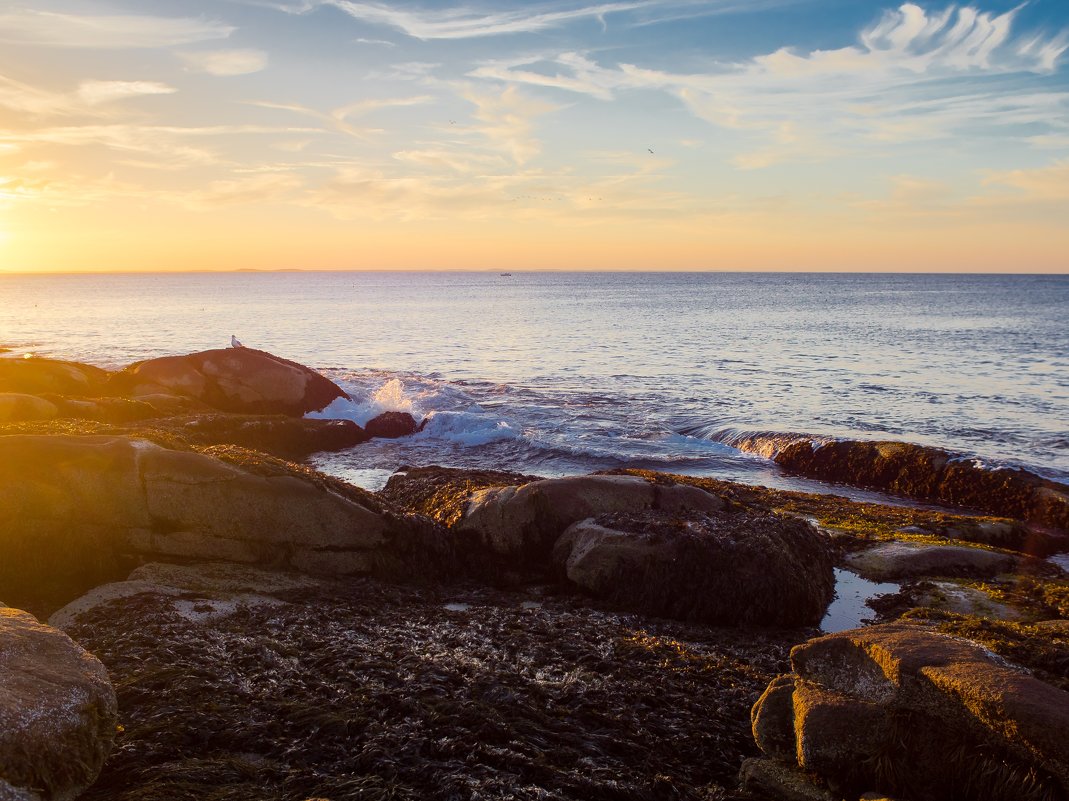 Закат в Rockport, Mass - Vadim Raskin